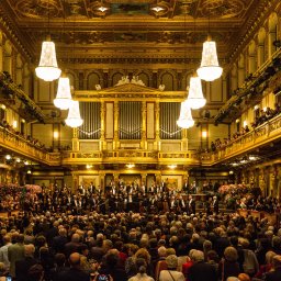 people inside building