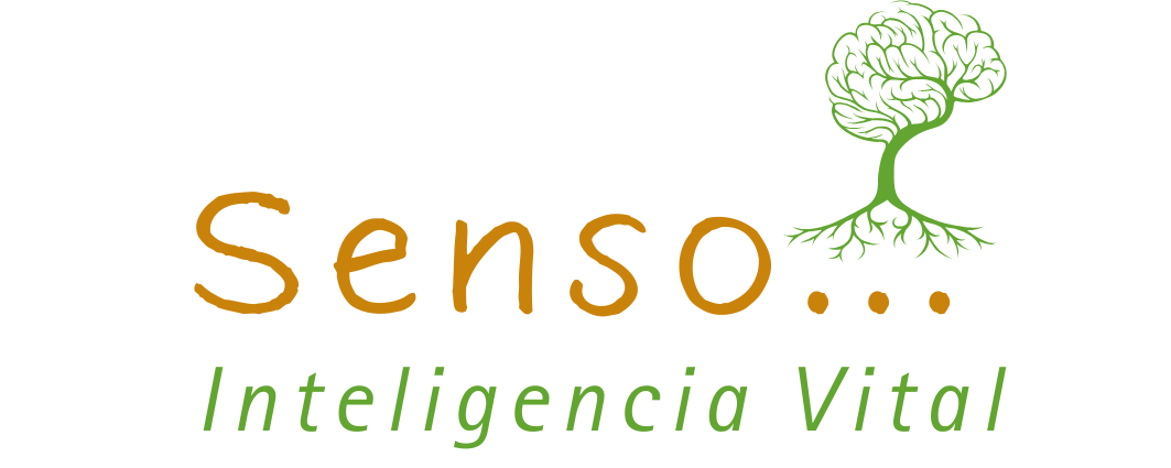 SENSO logo